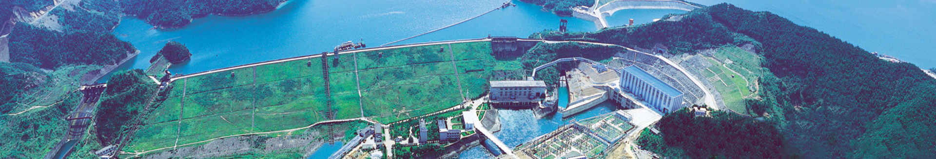 國內市場